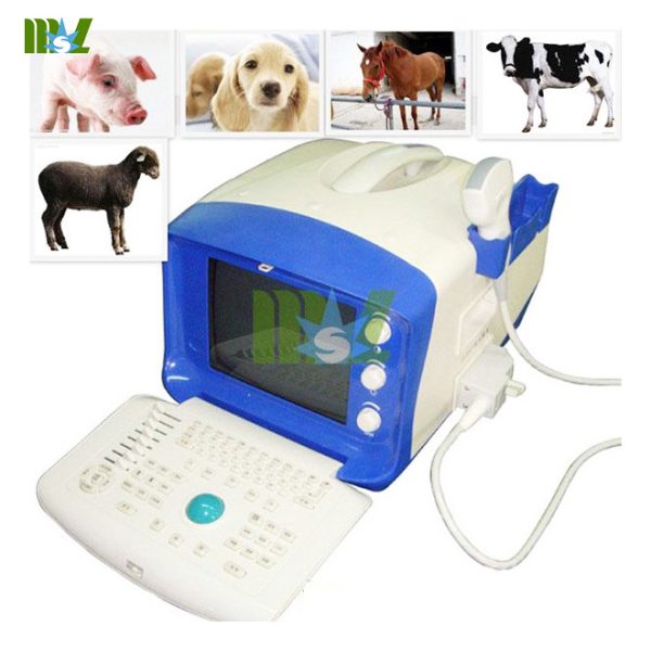 Escáner de ultrasonido veterinario portátil - B.S.D.VU07