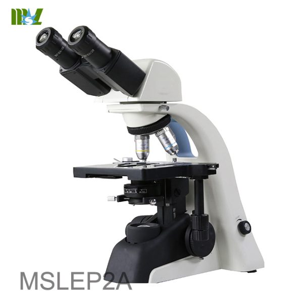Tipos de objetivos acromáticos microscopio B.S.D.EP2A