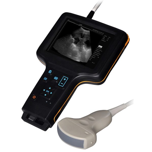 Máquina de ultrasonido portátil veterinaria B.S.D.VU31