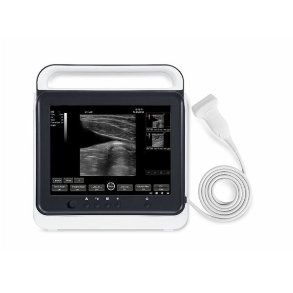 Máquina de ultrasonido veterinario portátil con pantalla táctil B.S.D.VU40