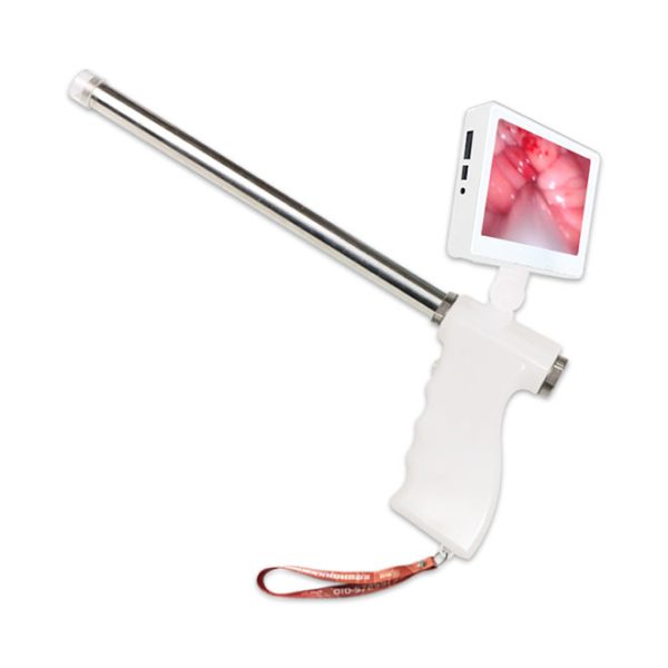 Máquina de pistola de inseminación visual de ganado B.S.D.DE03 de actualización