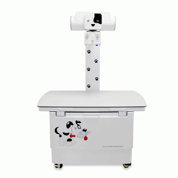 Máquina de rayos X veterinaria montada en el suelo B.S.D.VX40 | medsinglong