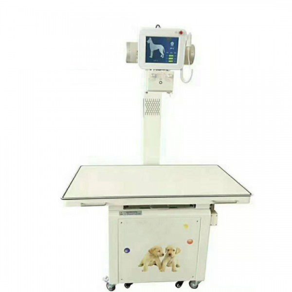 Mejores Rayos X Veterinarios Digitales B.S.D.VX24 | medsinglong