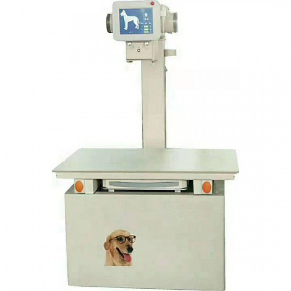 Precio profesional de la radiografía digital veterinaria B.S.D.VX24