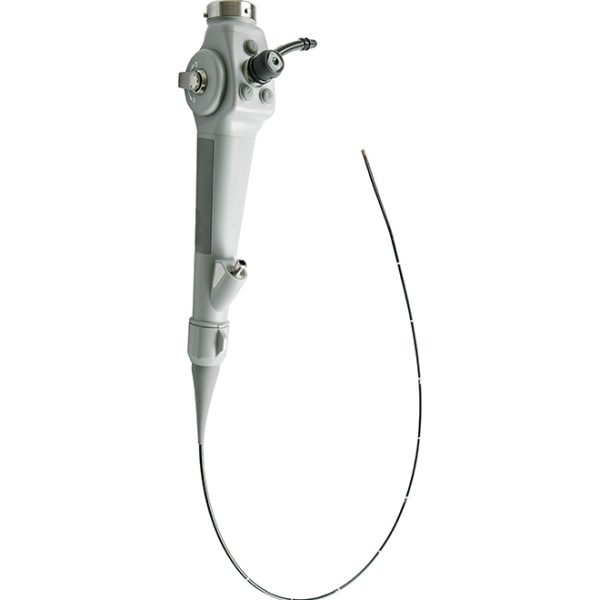Endoscopio Veterinario B.S.D.GA285