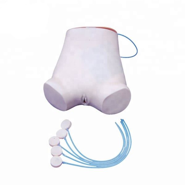 Maniquí de entrenamiento médico de enfermera B.S.D.HS1 para bebé con modelo de inyección de vena en brazo avanzado para venopunción infantil.
