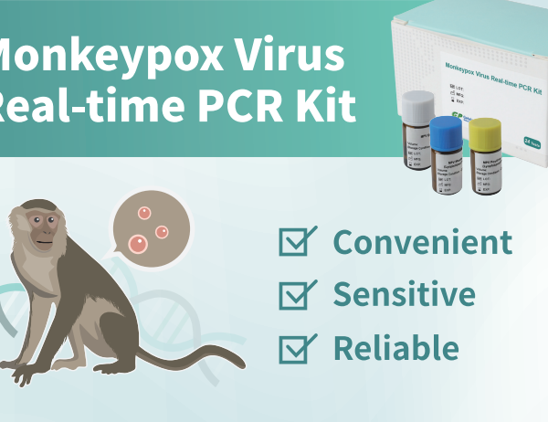 Kit de prueba de PCR para la detección del virus de la viruela del mono con kits de extracción de perlas magnéticas Rt PCR