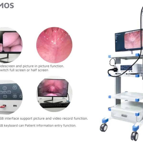 Videobroncoscopio flexible de hospital / Nasofaringoscopio / Cistoscopio / Ureteroscopio B.S.D.SY26