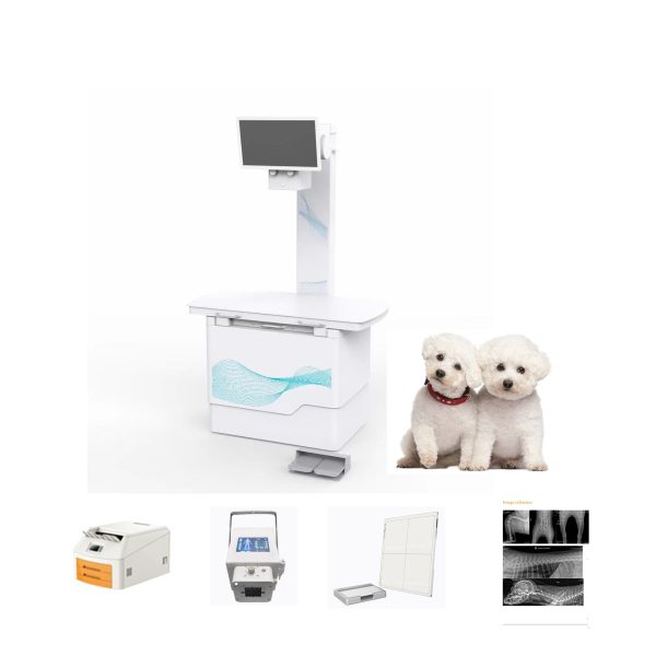 Sistema de DR más económico, máquina de rayos X con mesa para uso veterinario 32KW 400MA B.S.D.AB1124
