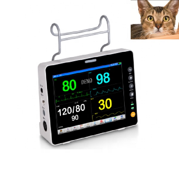 Monitor de paciente de equipo médico para veterinaria B.S.D.MP34