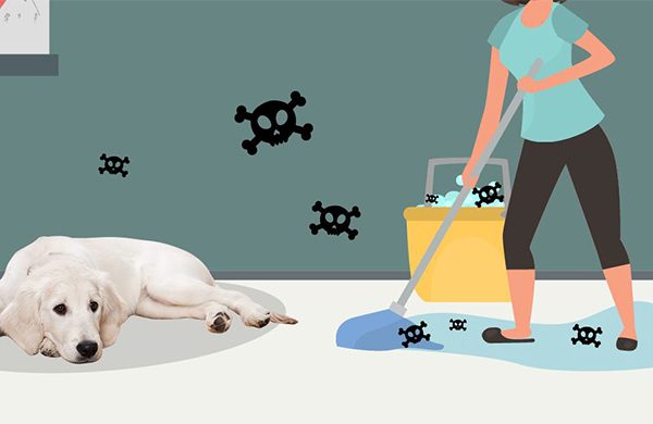 Almohadillas para mascotas súper absorbentes para perros cachorros, almohadillas para orinar para perros, pañales para perros.