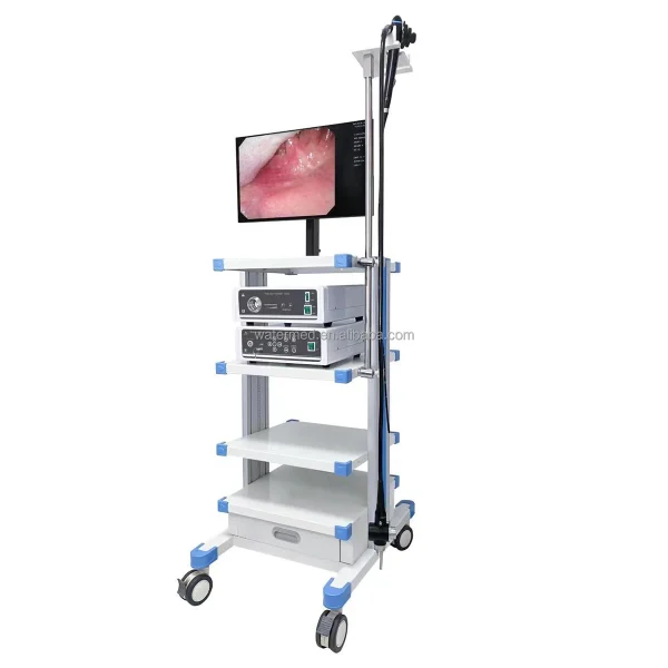 Videogastroscopio Videocoloscopio Cirugía Endoscopio Conjunto Completo / Endoscopio Clínica Hospital Videogastroscopio B.S.D.SY36