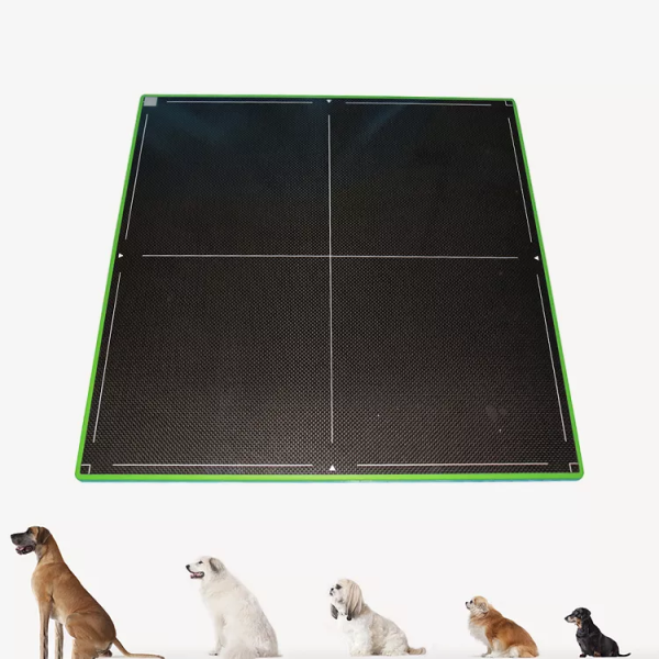 Buen Precio 17*17 pulgadas Mamografía Rayos X Detector de Panel Plano para Uso Médico MSLCV08