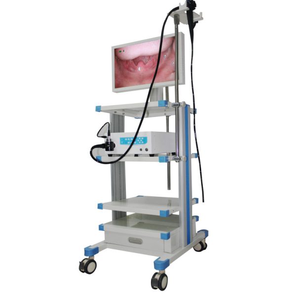 Carro de suministros médicos Sistema de endoscopio veterinario Conjunto de endoscopio flexible de video veterinario MSLSY15