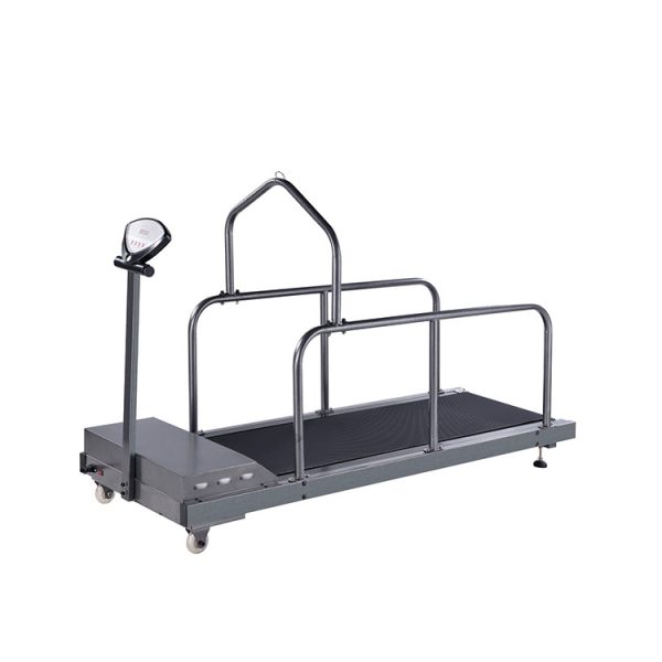 Cheap dog treadmill MSL-C300 - Medsinglong