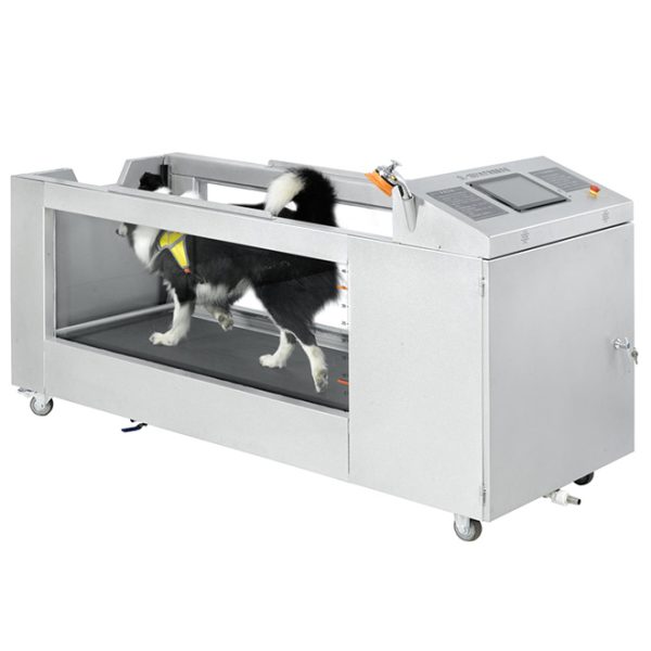 Cinta de correr hidroterapéutica eléctrica para mascotas MSLC880 para perros