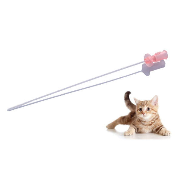 Dispositivo médico animal 1.3 mm * 1.3 mm Catéter de orina desechable para mascotas de silicona Catéter para gatos con/sin estilete MSLHAC177