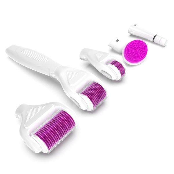 Egretmed 6 en 1 rodillo dérmico equipo de belleza rodillo dérmico piel rodillo dérmico set Terapia de microneedling MSLSF06B