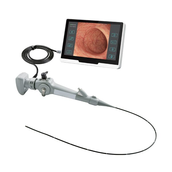 Endoscopia portátil de vías respiratorias superiores e inferiores, sinusoscopia, vaginoscopia, histeroscopia para uso veterinario. Endoscopio veterinario USB portátil MSLVF07.