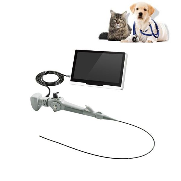 Endoscopio broncoscópico de video flexible veterinario portátil en venta MSLGA285