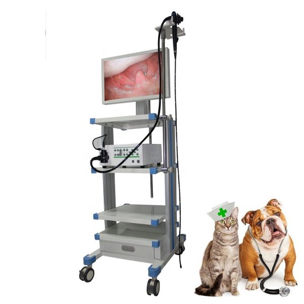 Endoscopio veterinario médico portátil cámara de endoscopio para uso veterinario MSLSY16