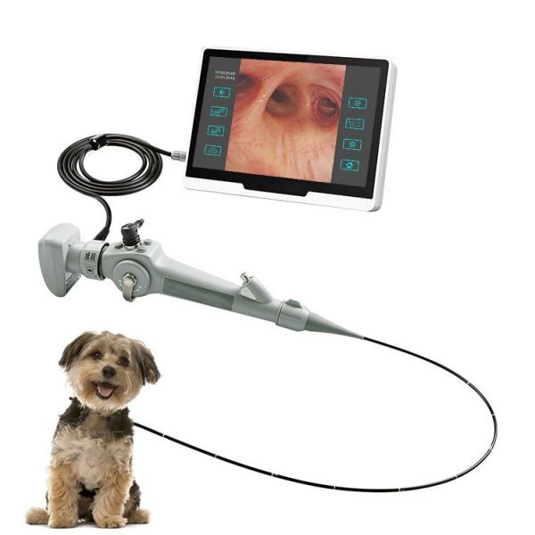 Endoscopios flexibles veterinarios de video HD Endoscopio veterinario flexible para veterinarios Endoscopio endoskop para animales MSLGA285