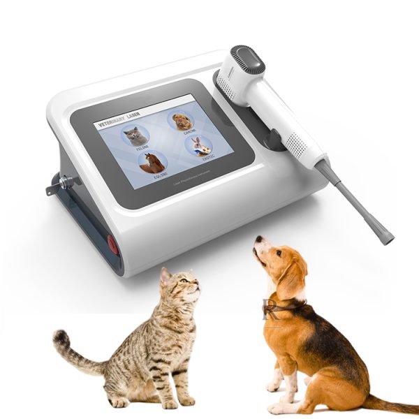 Equipo de terapia láser veterinaria del Hospital de Mascotas, terapia física con láser para alivio del dolor en animales MSLLV03