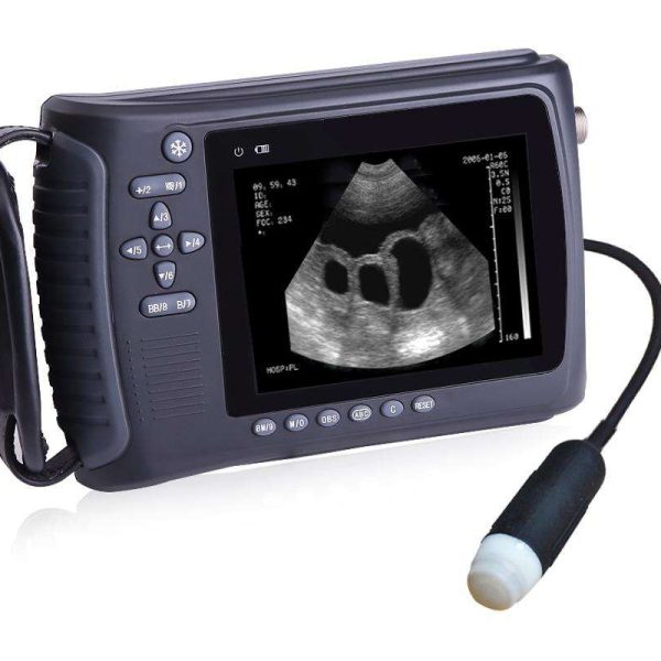 Equipo veterinario portátil de ultrasonido veterinario de alta calidad con sonda sectorial