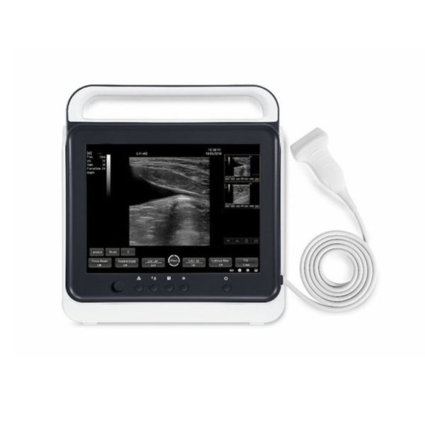 Escáner de ultrasonido veterinario portátil con pantalla táctil MSLVU40