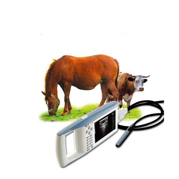 Escáneres de ultrasonido veterinario MSLVU02