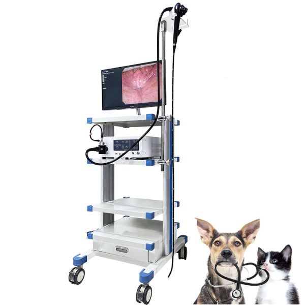 Fabricación de equipo médico veterinario Cámara Laparoscopio Endoscopio Sistema de imagen Gastroscopio y Colonoscopio MSLSY30