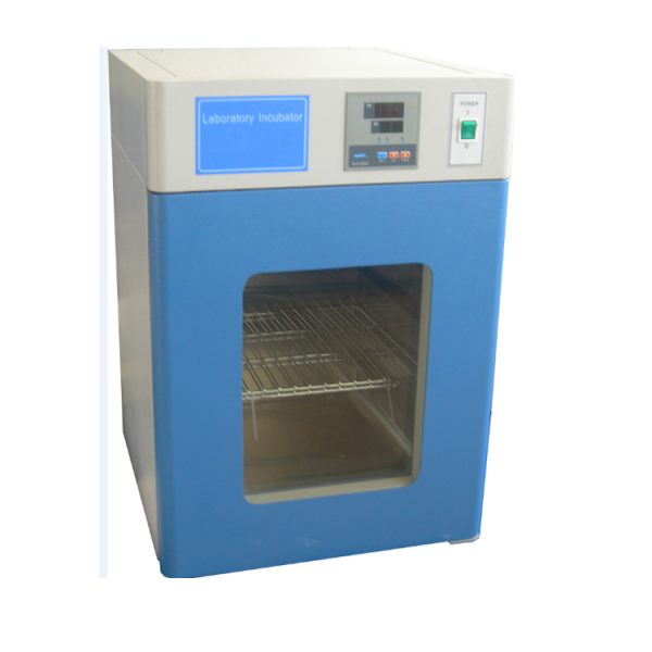 Incubadora de calentamiento termostático de microbiología de laboratorio de acero inoxidable MSLZJ006