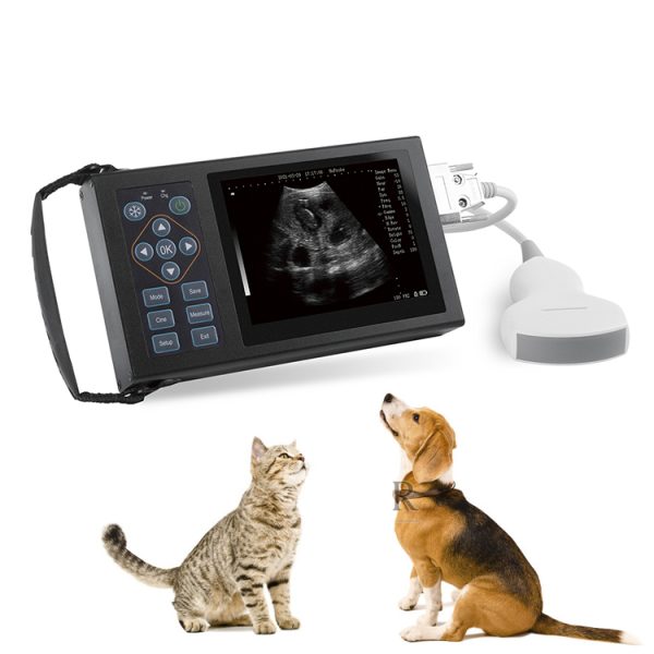 Instrumento de ultrasonido médico para animales pequeños, escáner de ultrasonido portátil, máquina de terapia física para mascotas para veterinarios