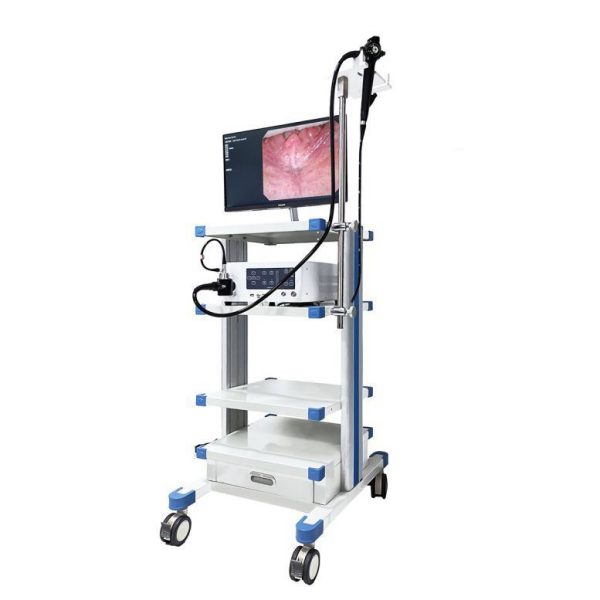 Instrumento Profesional PET Vet Endoscopio Médico Portátil Gastroscope Colonoscope Para Hospital Veterinario MSLSY30