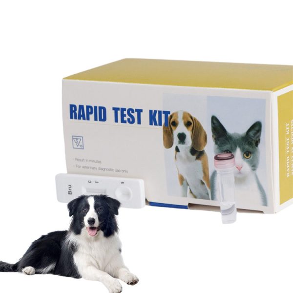Kit de diagnóstico médico para perros, kit de prueba de anticuerpos de Brucella canina (C.Brucella Ab) para uso veterinario.
