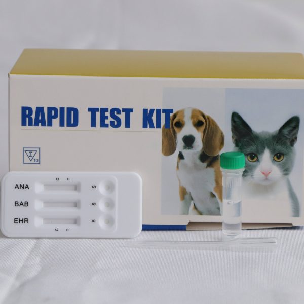 Kits de prueba veterinaria rápida combinada para Ehrlichia/Babesia/Anaplasma MSLDH38B