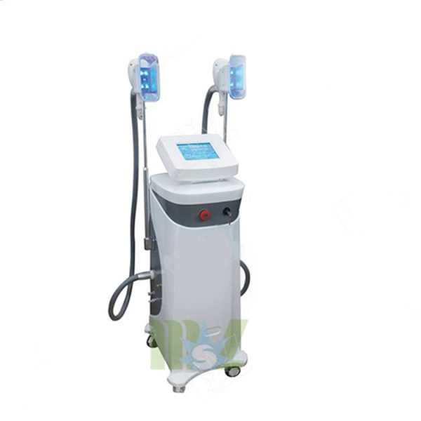 Máquina de adelgazamiento láser de cavitación de criolipólisis MSL MSLCY02 en venta