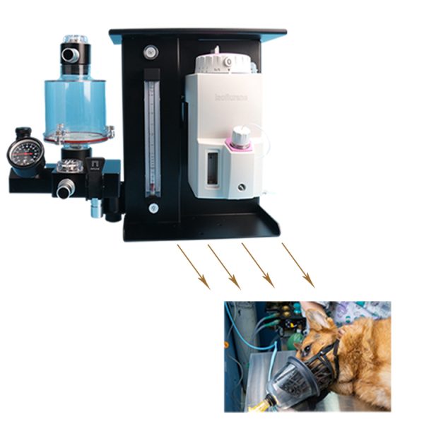 Máquina de anestesia veterinaria Equipo de operación veterinaria Máquina de anestesia para animales Máquina de anestesia de gas veterinaria MSLMV01