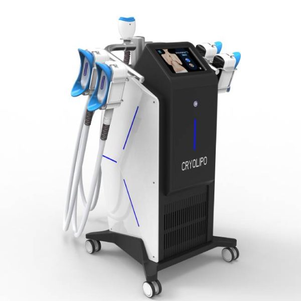 Máquina de criolipólisis de doble mentón de 360 grados para congelar grasa y adelgazar el cuerpo MSLCY16