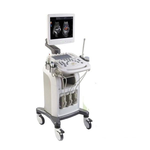 Máquina de ecocardiografía cardíaca en color 3D / Ecografía cardíaca en color 4D con carro MSLCU16