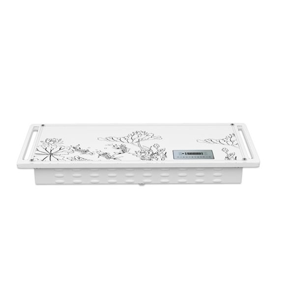 Máquina de purificación y esterilización de aire de plasma MSLAP07