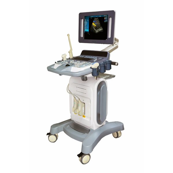 Máquina de ultrasonido 3D 4D escáner de ultrasonido médico máquina de ultrasonido Doppler en color MSLCU39