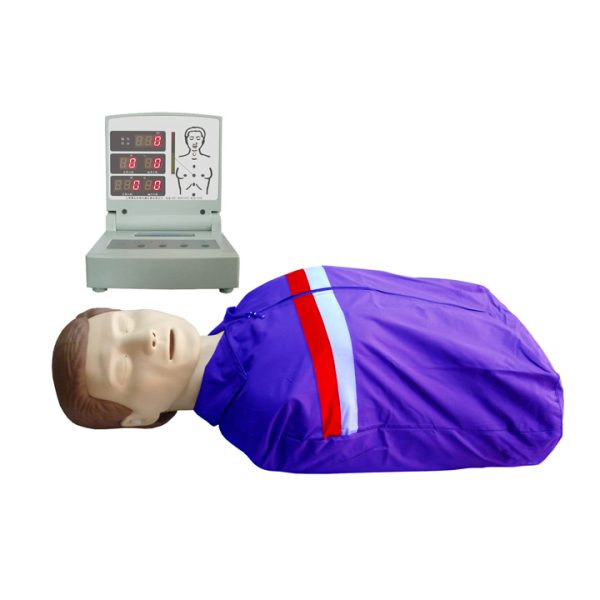 Maniquí de entrenamiento realista para primeros auxilios médicos, RCP, maniquí RCP MSLEN04
