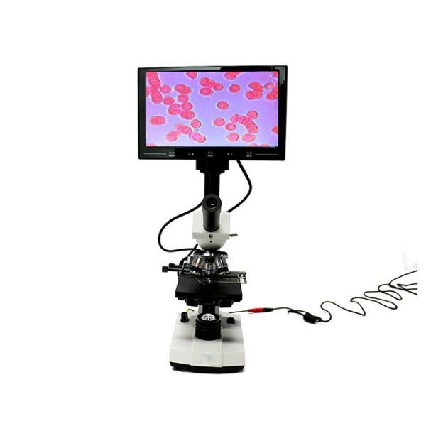Microscopio de análisis de sangre de alta calidad de imagen más económico MSLYZ11