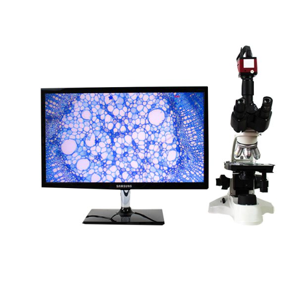 Microscopio digital MSL MSL-PH50 en venta