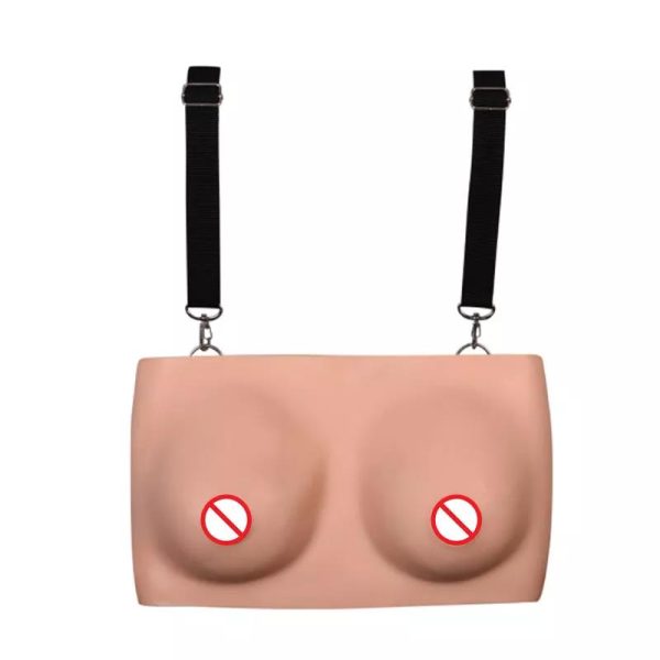 Modelo de enseñanza avanzada de examen de mama en ciencias médicas MSLF14