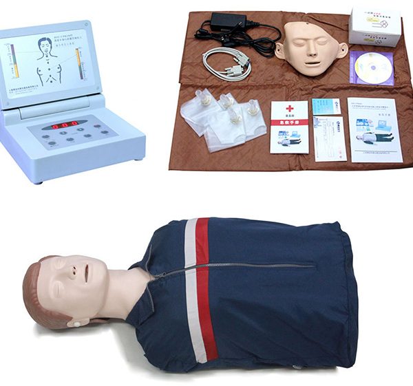 Modelo de entrenamiento de auscultación clínica y palpación