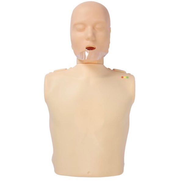 Modelo de entrenamiento médico barato de medio cuerpo para RCP, modelo de maniquí de entrenamiento en primeros auxilios MSLEN05