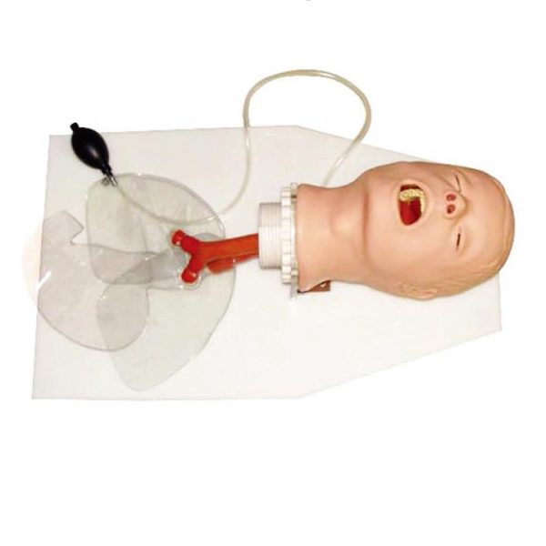 Modelo de entrenamiento quirúrgico para intubación traqueal en enseñanza médica, Modelo de intubación traqueal infantil