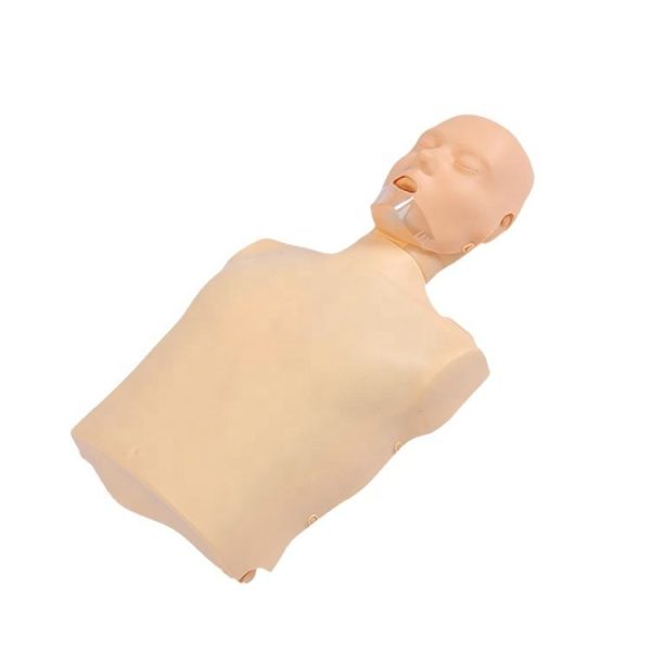 Modelos Médicos MSLCPR480 Maniquíes de Entrenamiento de RCP Eléctricos Simples de Medio Cuerpo en venta